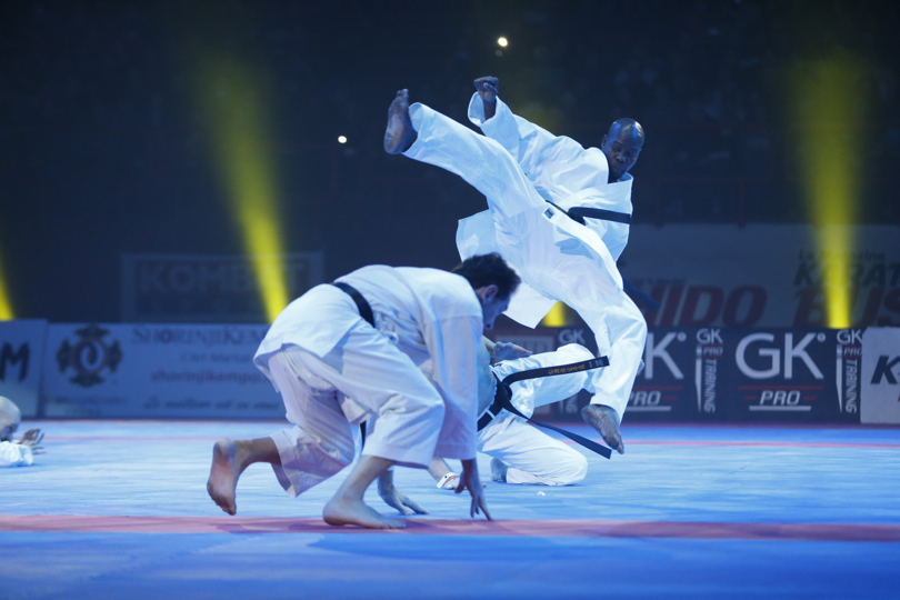 Éric Delannoy : 29ème Festival des Arts Martiaux - BERCY 2014